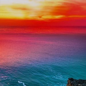 Meet your Posher, Mia